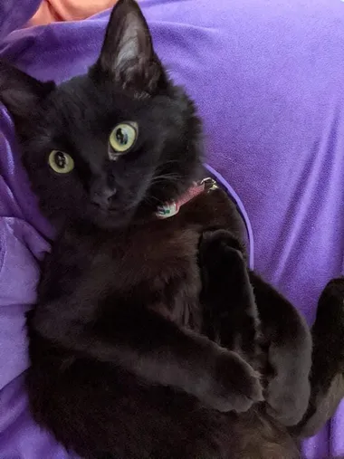 Limited Space for Keepsakes