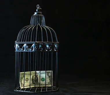 Trauma for Sale, Part 2